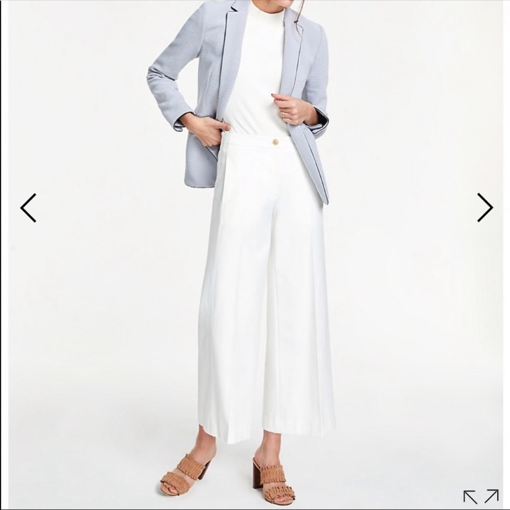 Ann Taylor Wide Leg Pant